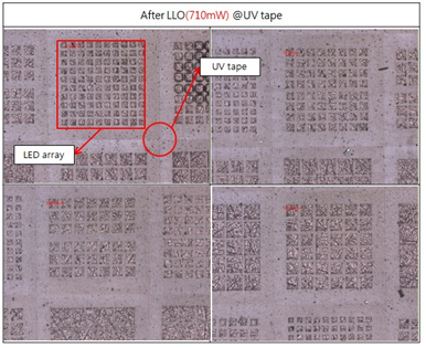 Micro LED array LLO 전사 후 이미지