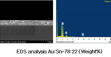 EDS analysis Au:Sn=78:22